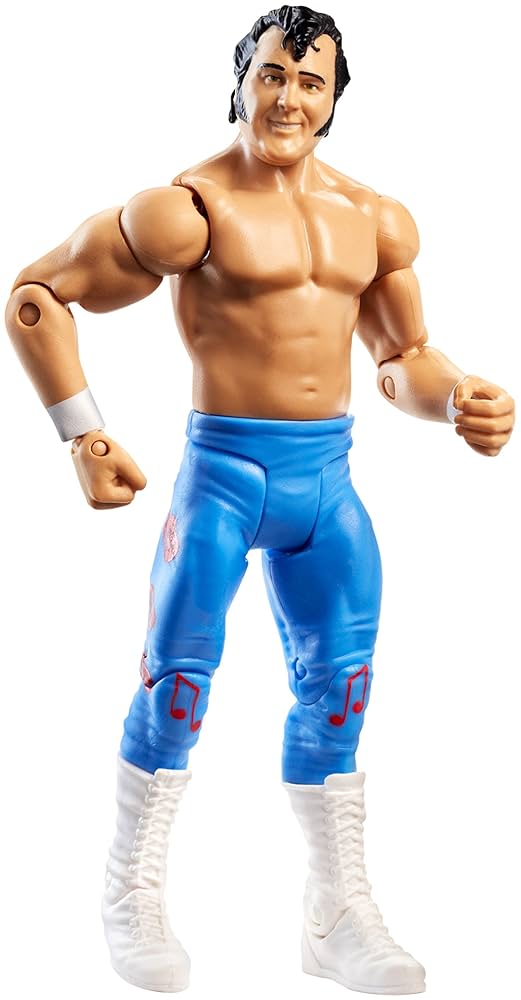 WWE Basic Honky Tonk Man Figure, Figures - Amazon Canada